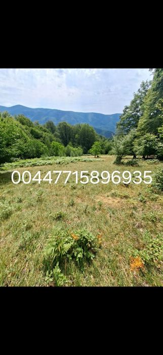 Casa veche la munte cu teren de 7500m2