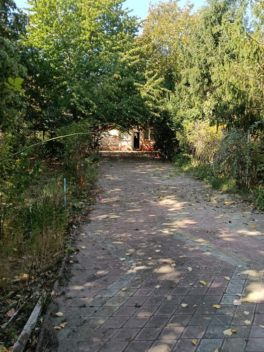 Casa Comuna Gruiu, Sat Lipia