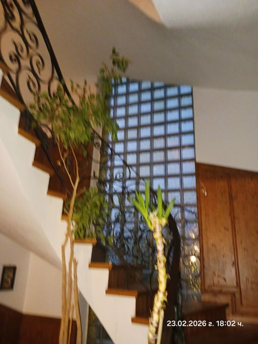 НОЩУВКИ  за Гости в Залцбург- Австрия