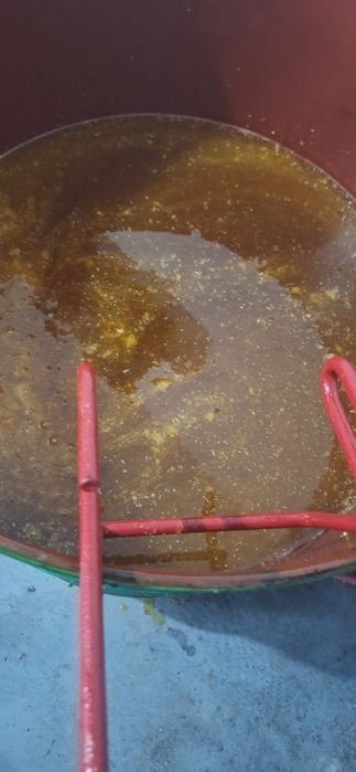 Vând miere poliflora 200 kg