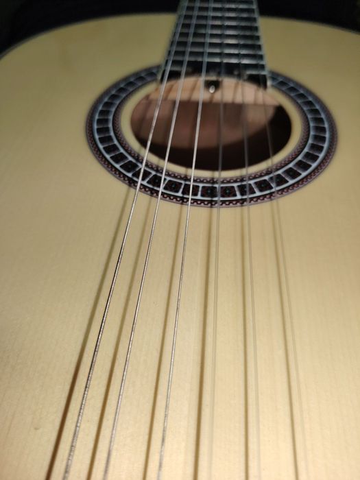 Gitara alergia L310N