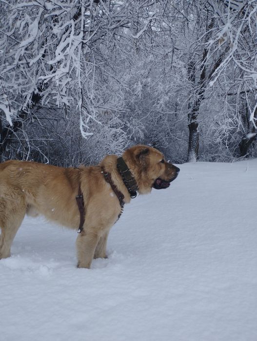 Открыт для вязок.