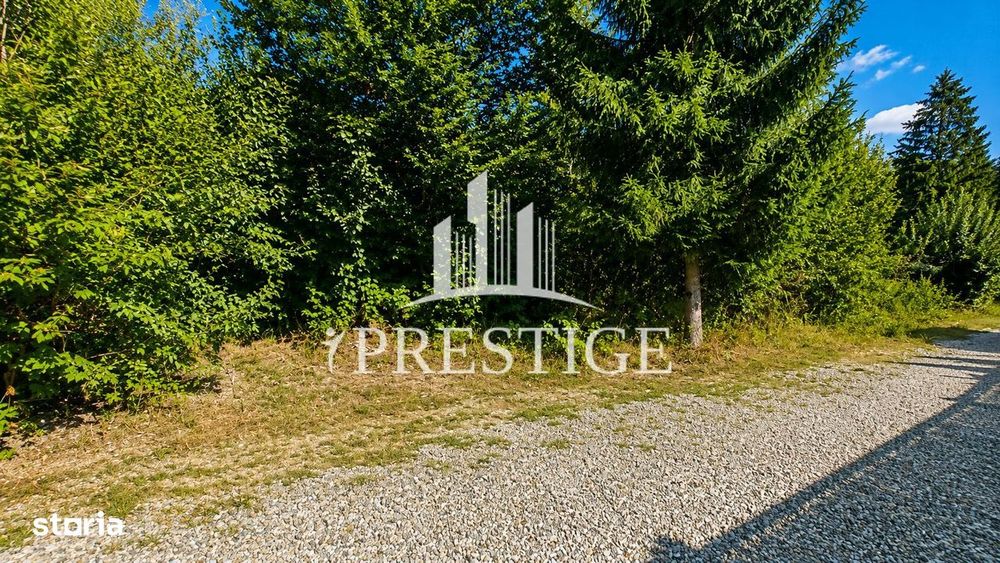 Teren Intravilan De Vânzare | Valea Avrigului | 744 Mp