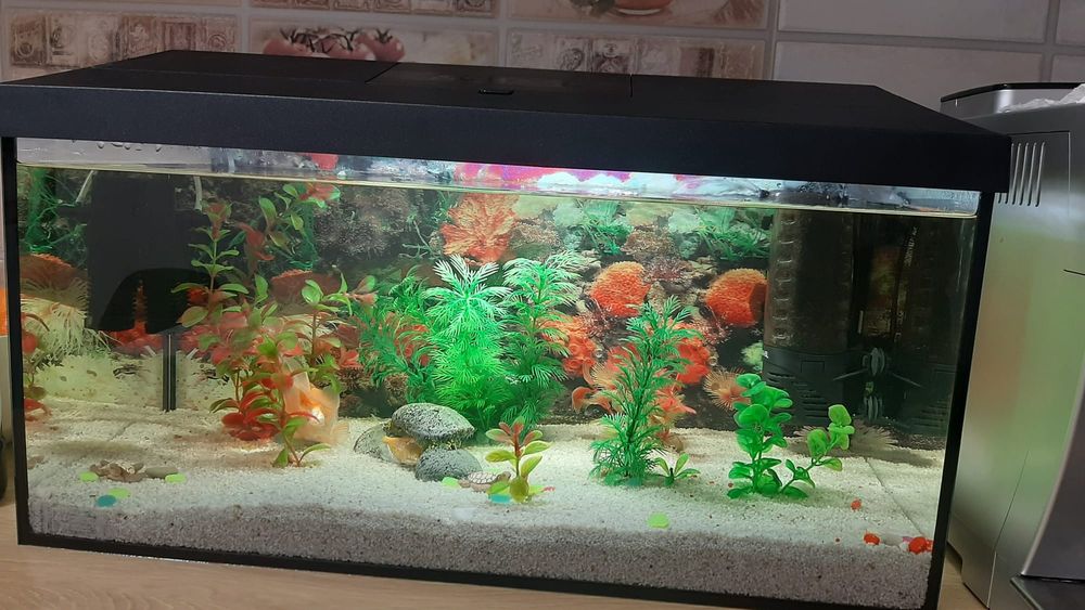 Vând acvariu 60 litri, cu decor, filtre