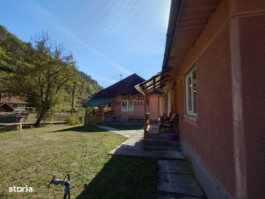 Doua case, teren si padure in Mihaileni - Buces