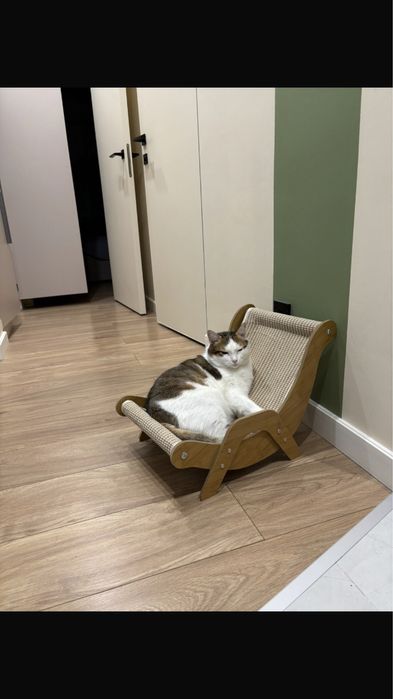 Когтеточки в виде кресла