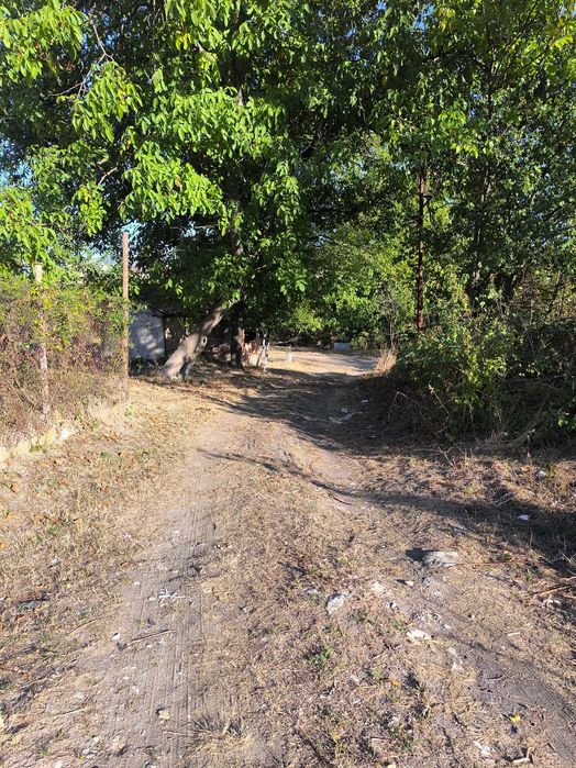 Продава се Къща в Кърджали, Веселчане - 520 кв.м за 69 €/кв.м - Снимка #5