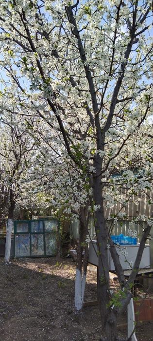 Продаётся 3-х комн газиф дом