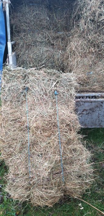 Baloti de otava    .