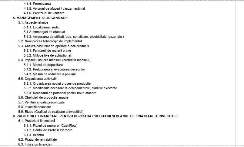Model Plan de afaceri editabil .docx pentru uz antreprenorial/business