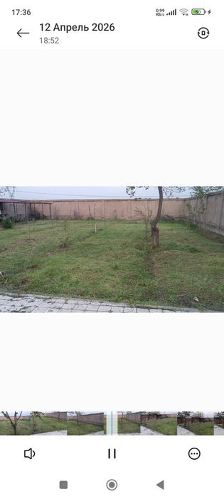 Тошкент вилояти Тойтепа Акмал Икром дала ховли
ҚУРУҚ ЙЕР, ТЕПЛИЦА ПАРН