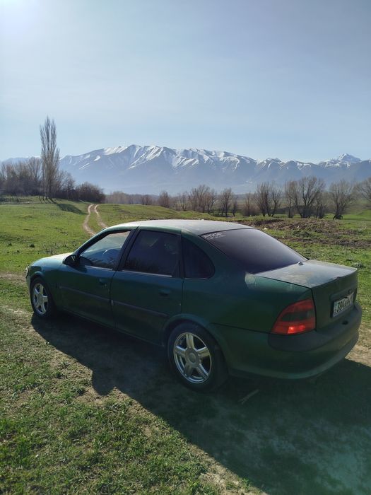 Торусы 15 торес обмен