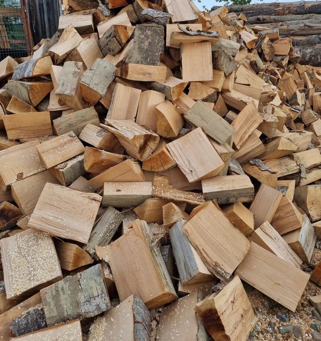 Lemne de foc fag capete uscate sau verzi 600lei tona sau la metru ster