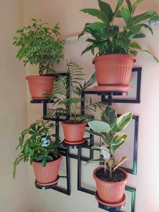 Цветарник (стенен)