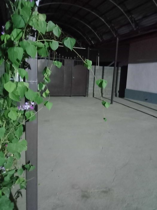 Большой частны дом