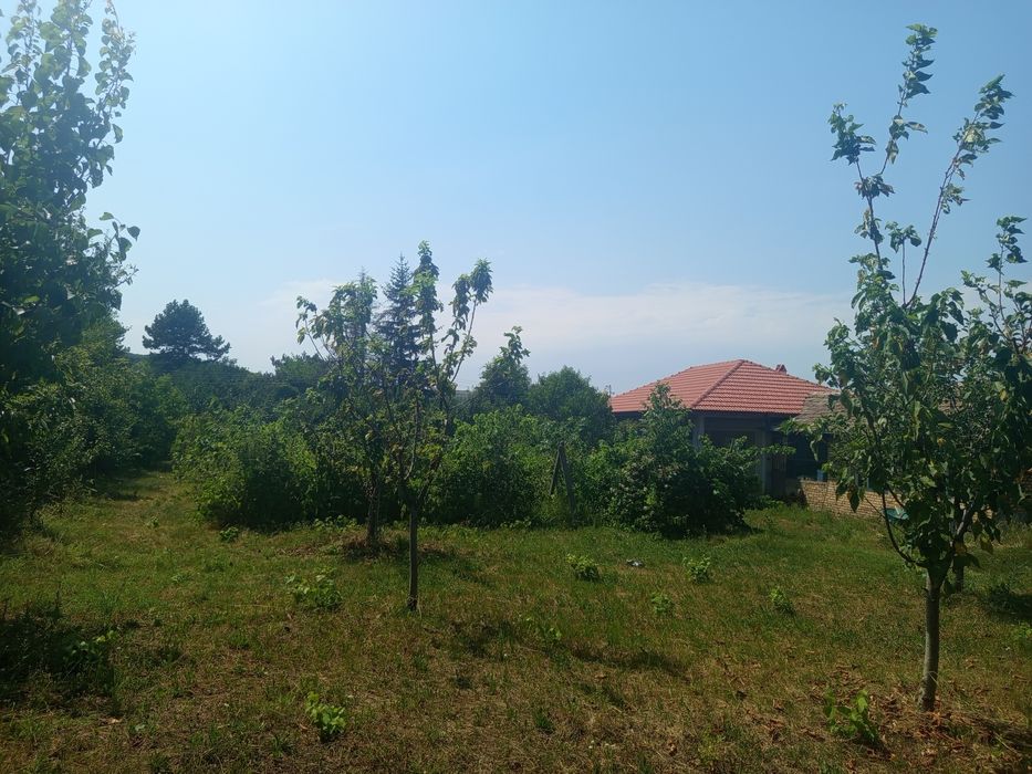 Продава се Къща в с. Медовина, Област Търговище - 80 кв.м за 988 €/кв.м - Снимка #4