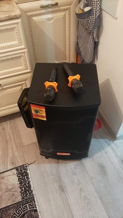 Колонка с микрофонами