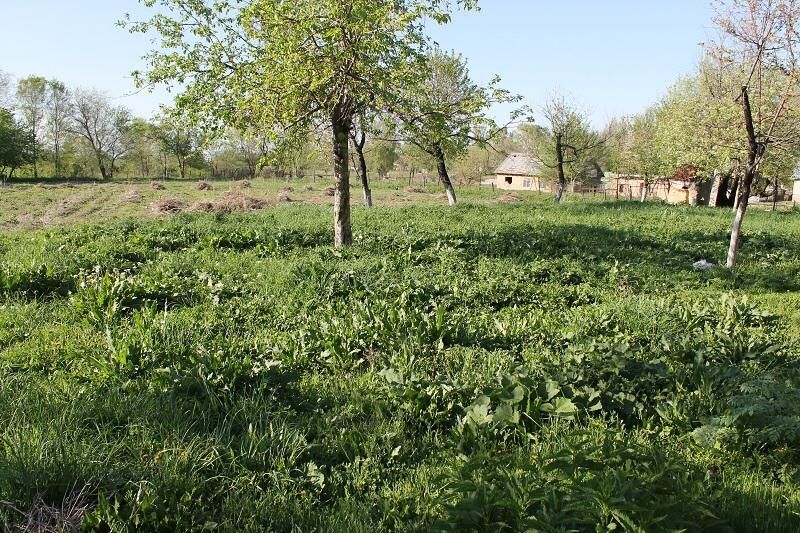 Продаётся дом в отличном состоянии