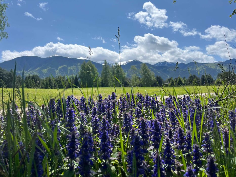 Tристаен апартамент под наем в Pirin Golf & Country Club