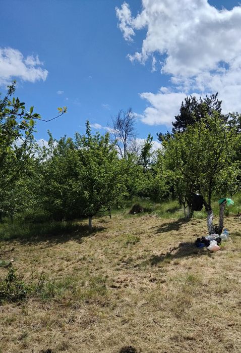 Продава се Парцел в с. Шатрово, Област Кюстендил - 970 кв.м за 13 €/кв.м - Снимка #1