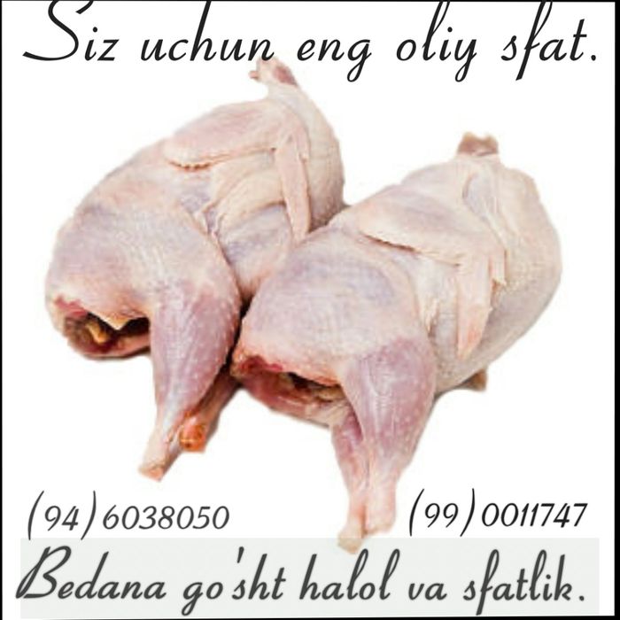 Олий сфатли бедана гушт