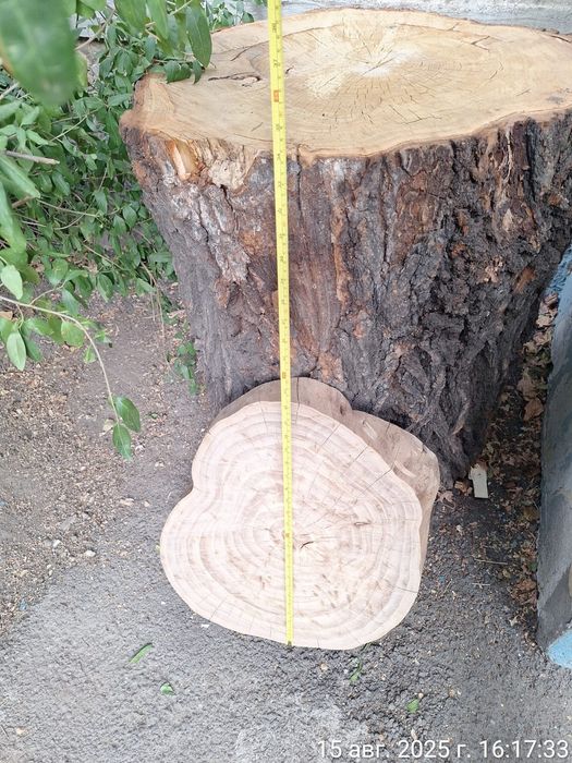 столешница из карагача