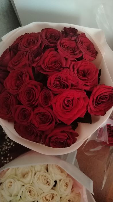 Продам живые цветы