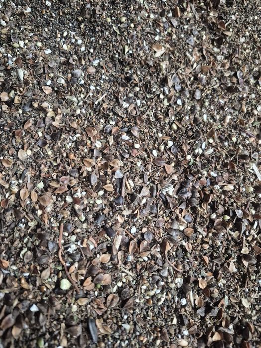 Отхот Грешка 1000 тенге мешок