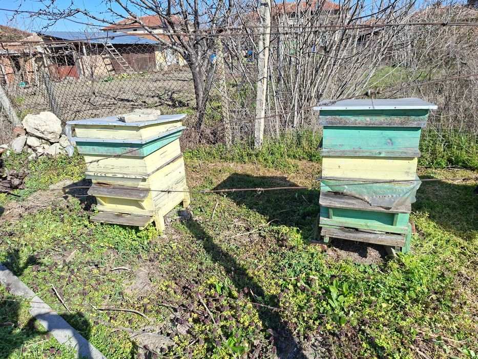 Пчелни кошери - 9бр. с две семейства