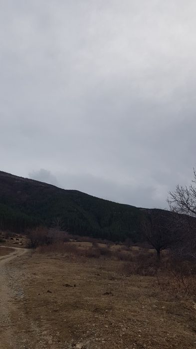 Продава се Парцел в Сапарева баня - 550 кв.м за 88 €/кв.м - Снимка #5