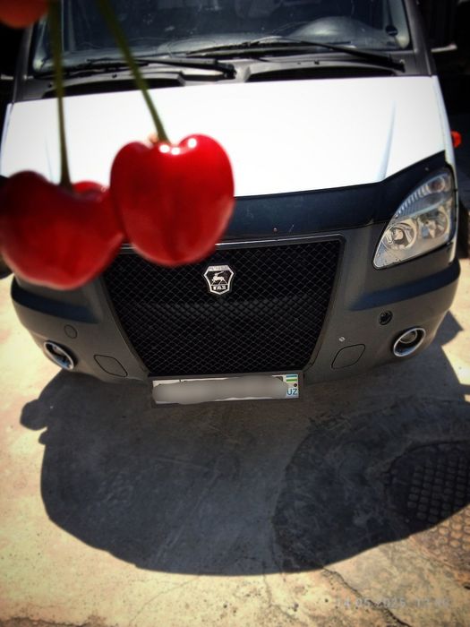 Gazel $otka Ijektr 2013