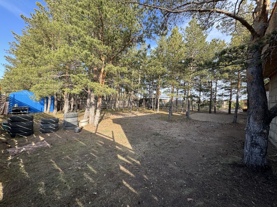 Лесной - зона отдыха