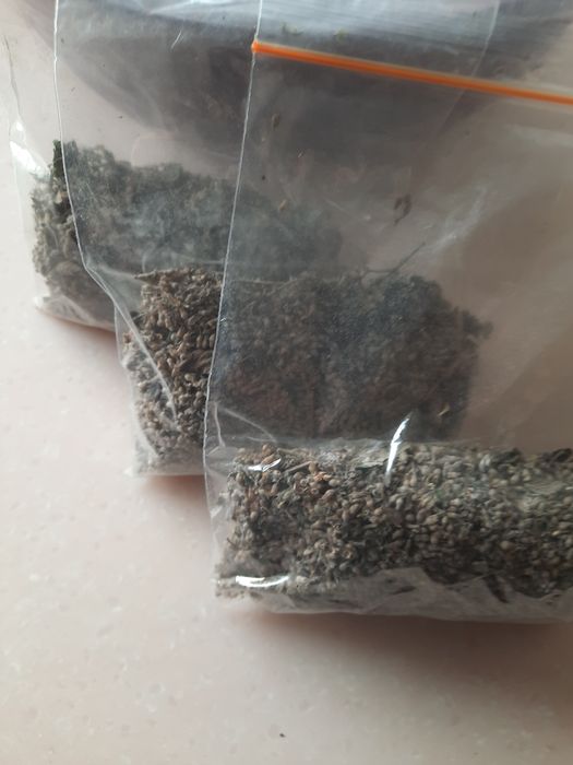 Мелиса. Сухоцвет.