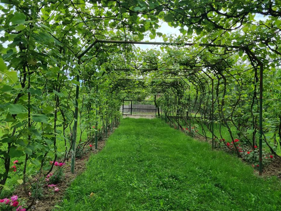 Oportunitate: Casă de vânzare + teren 4.232 mp | Roești, Vâlcea | Ideal gospodărie / casă de vacanță