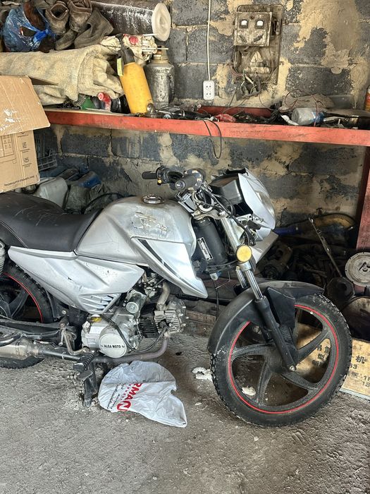 альфа шарк 125куб