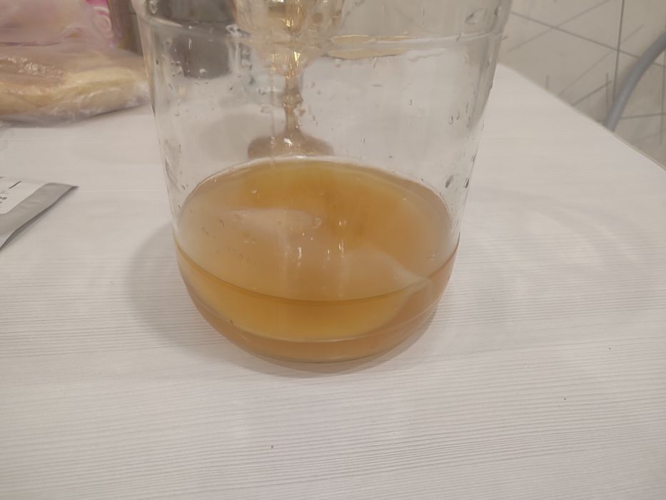 Продам чайный гриб комбуча