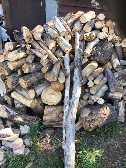 Дрова карагач