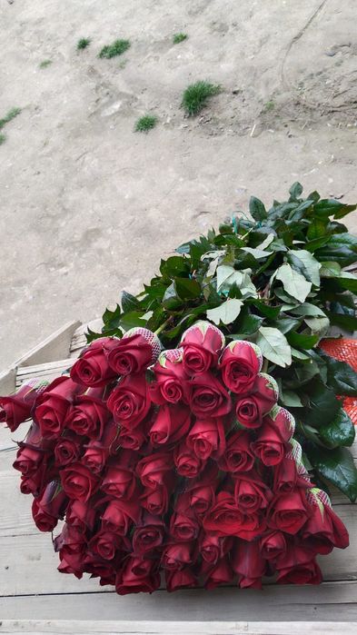 Роза местный оптом!