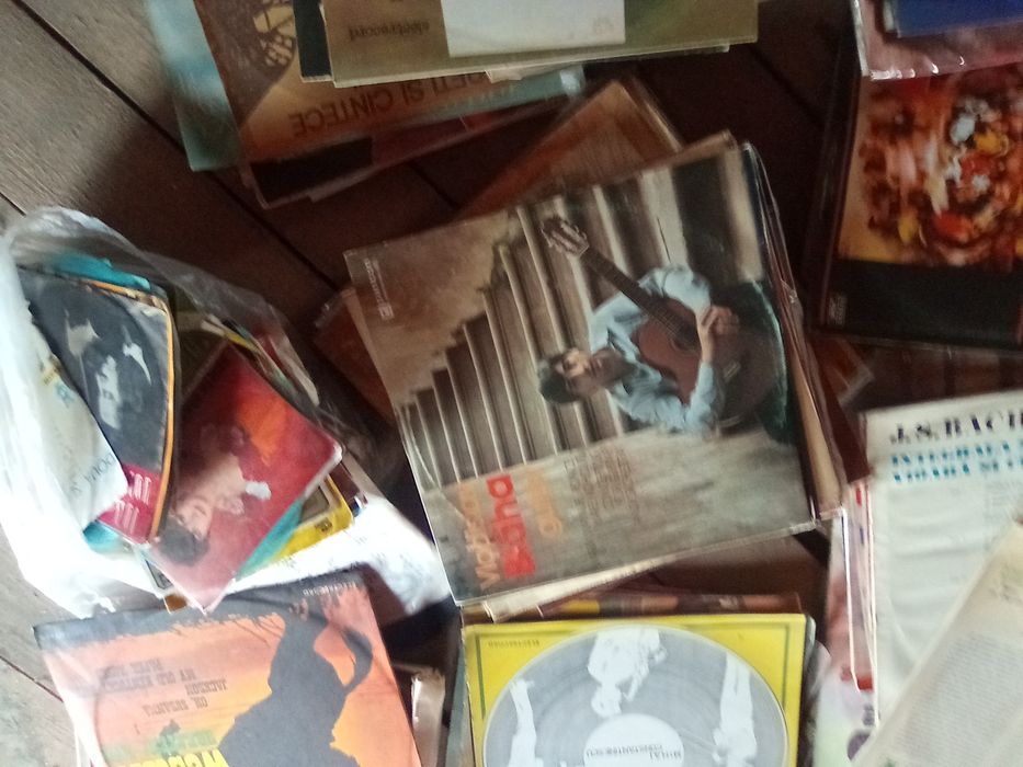 Colecția de volume  Adevarul  și discuri vinil