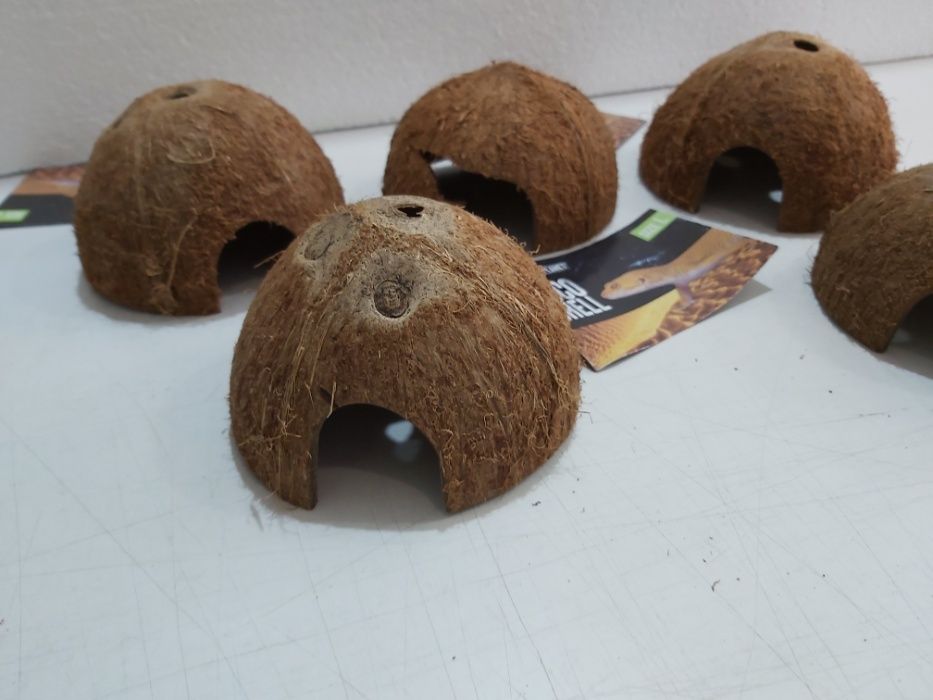 Декорация за терариум