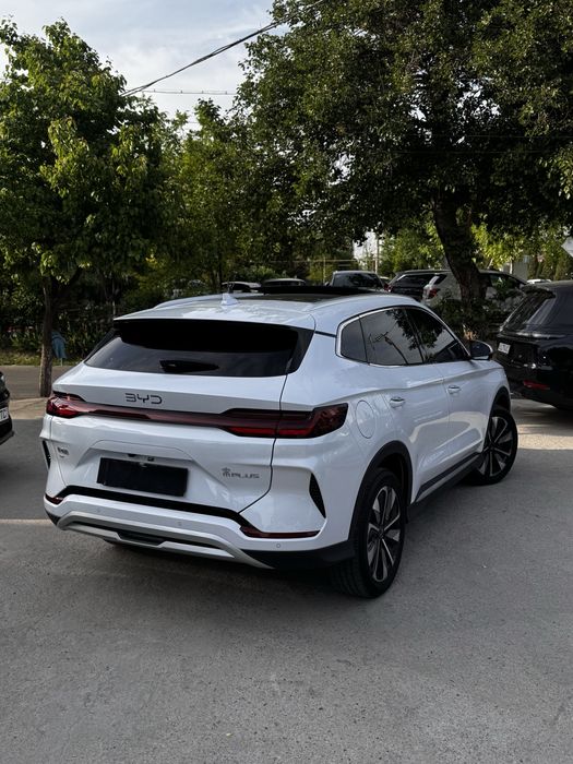 BYD chempion 2025 restaling