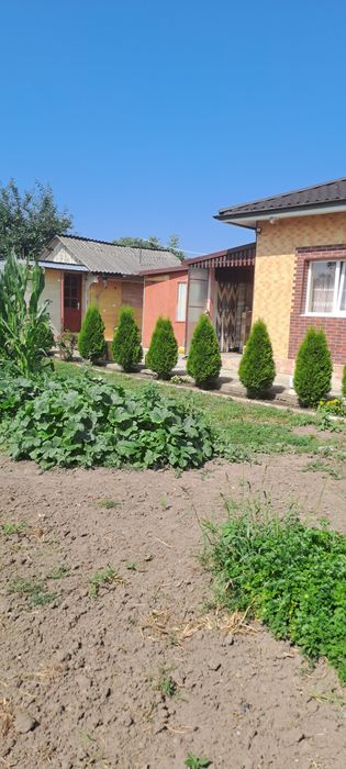 Vind casa șerbănești suceava