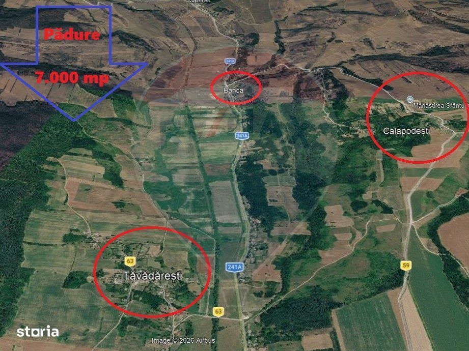 Padure de vanzare – 7.000 mp, Dealu Morii, jud. Bacau