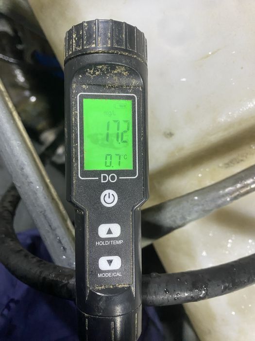 Перевозка живой рыбы