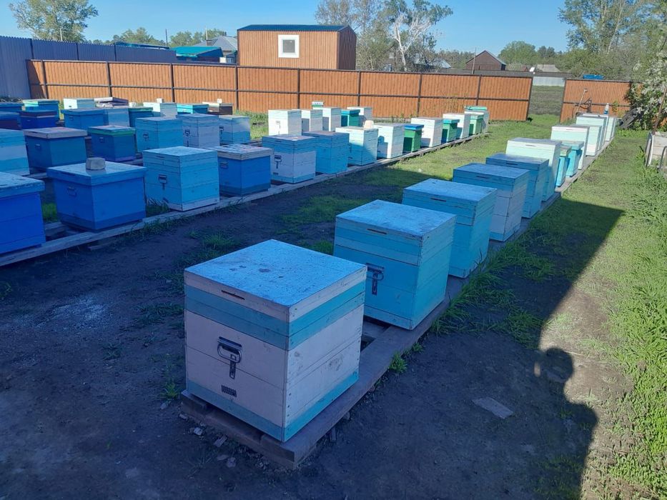 Бал. Мед. Мёд. Натуральный.