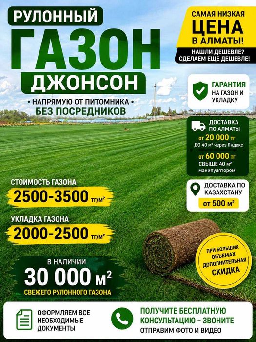 Готовый живой газон от питомника: рулонный газон, дерн и озеленение