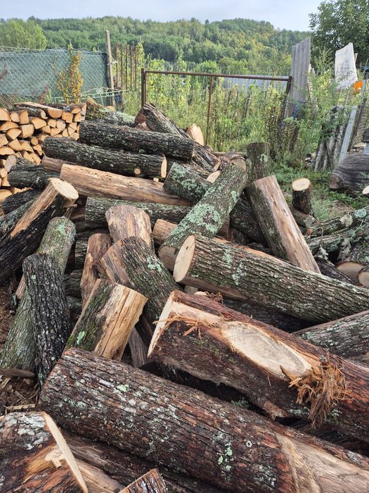 Lemne de foc doar calitate