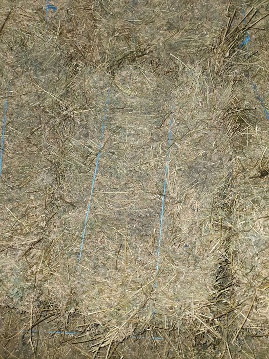 Baloti lucerna , baloti de lucerna,  vând baloti de luterna