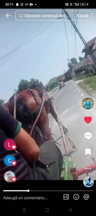 De vânzare o iapă
