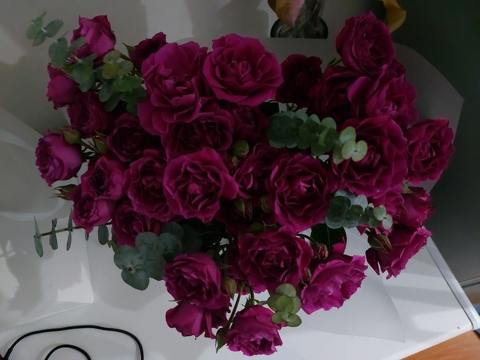 СВЕЖИЕ ЦВЕТЫ низкая цена